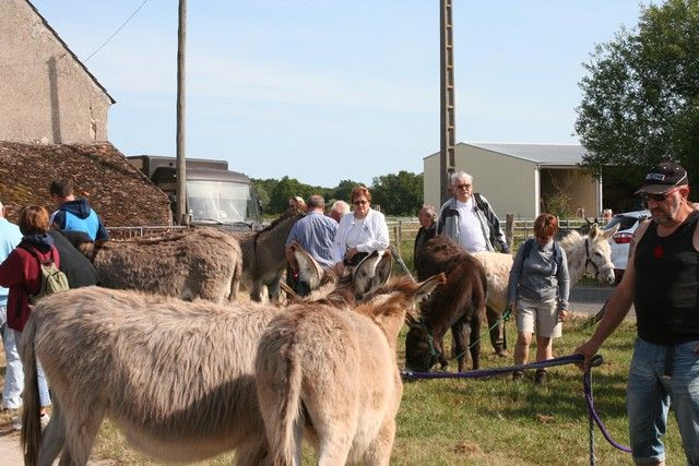 2015-07-06 rando anes (6).JPG